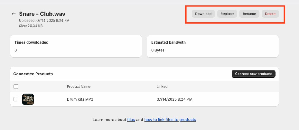 File details page with options to download, rename, or delete the uploaded file